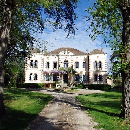 Villa Château Sainte Cécile à Gaillac Extérieur photo