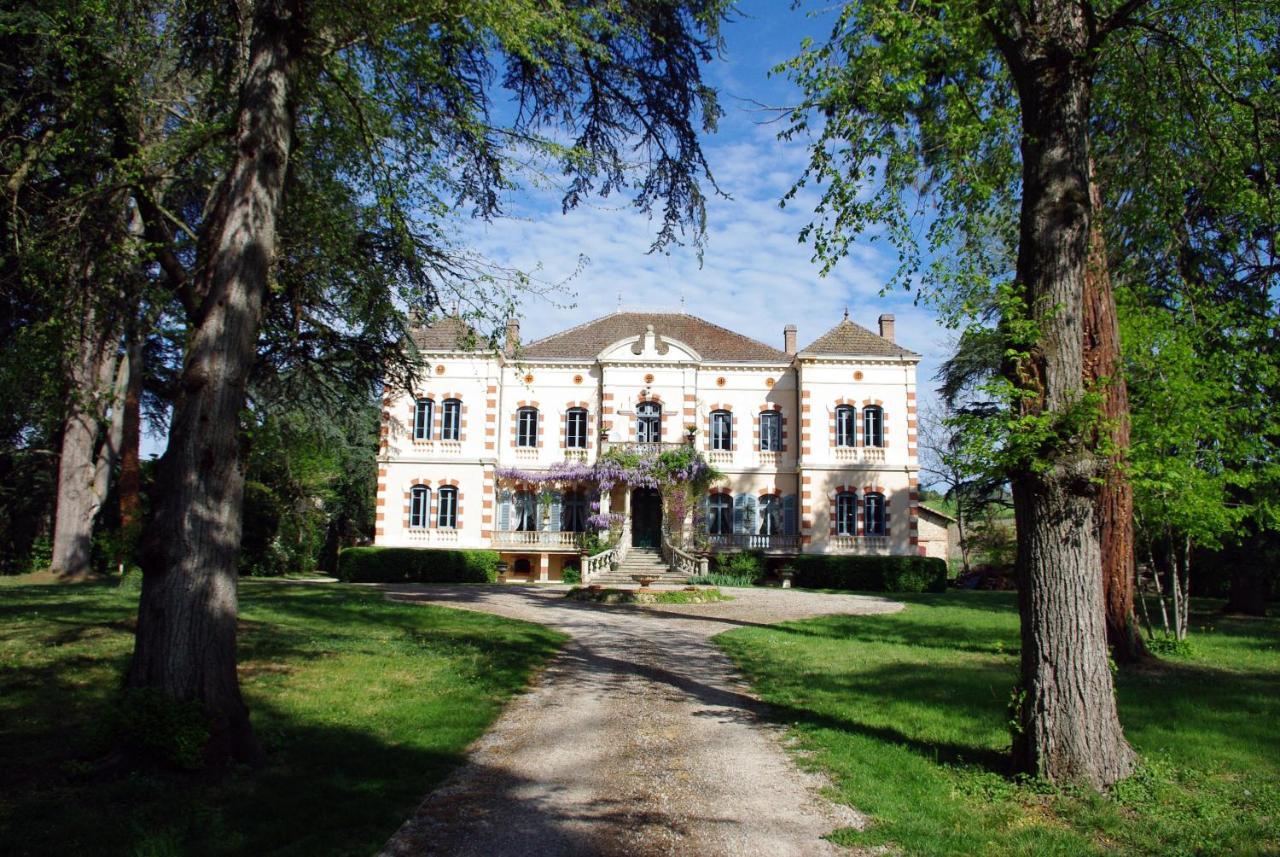 Villa Château Sainte Cécile à Gaillac Extérieur photo
